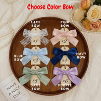 Personalized Baby Name Goose Embroidery Hoop