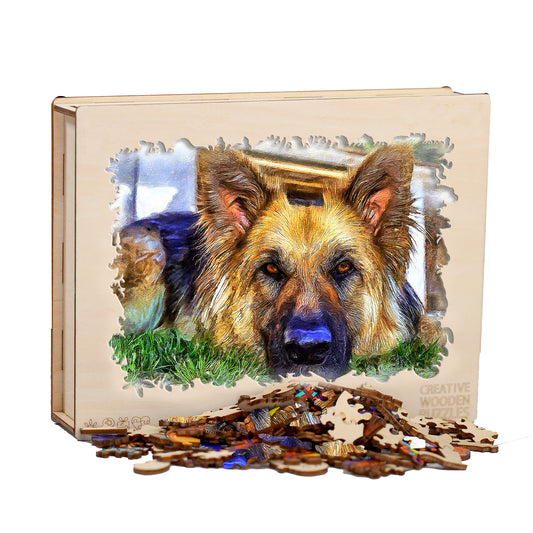 German Shepherd