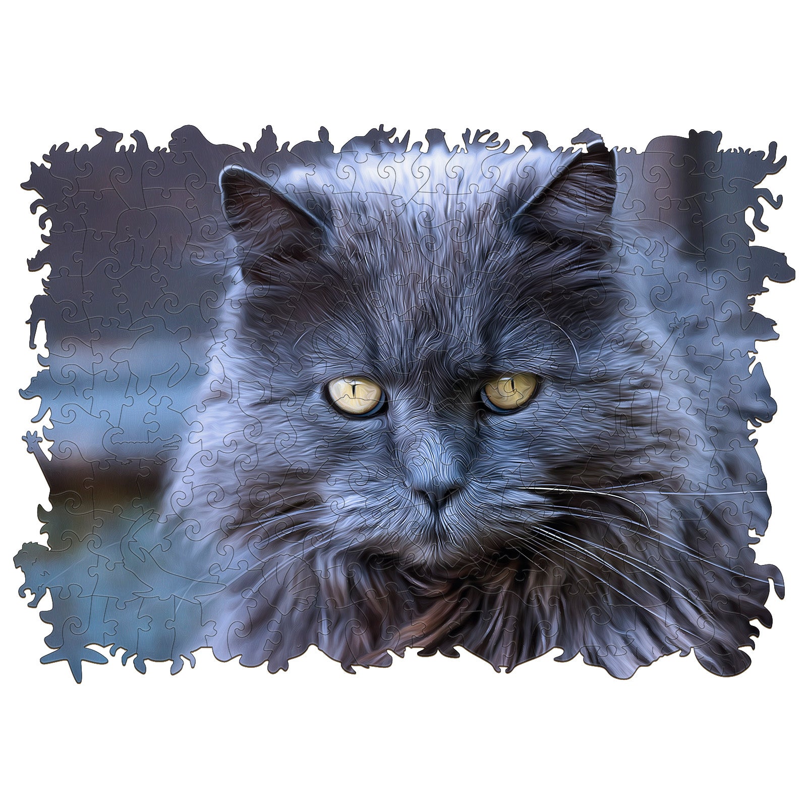 Gray Longhair Cat