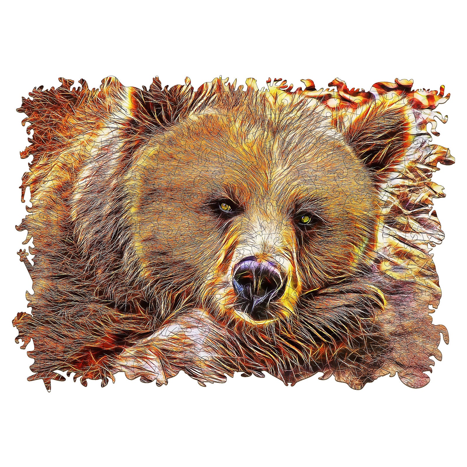 Brown Bear