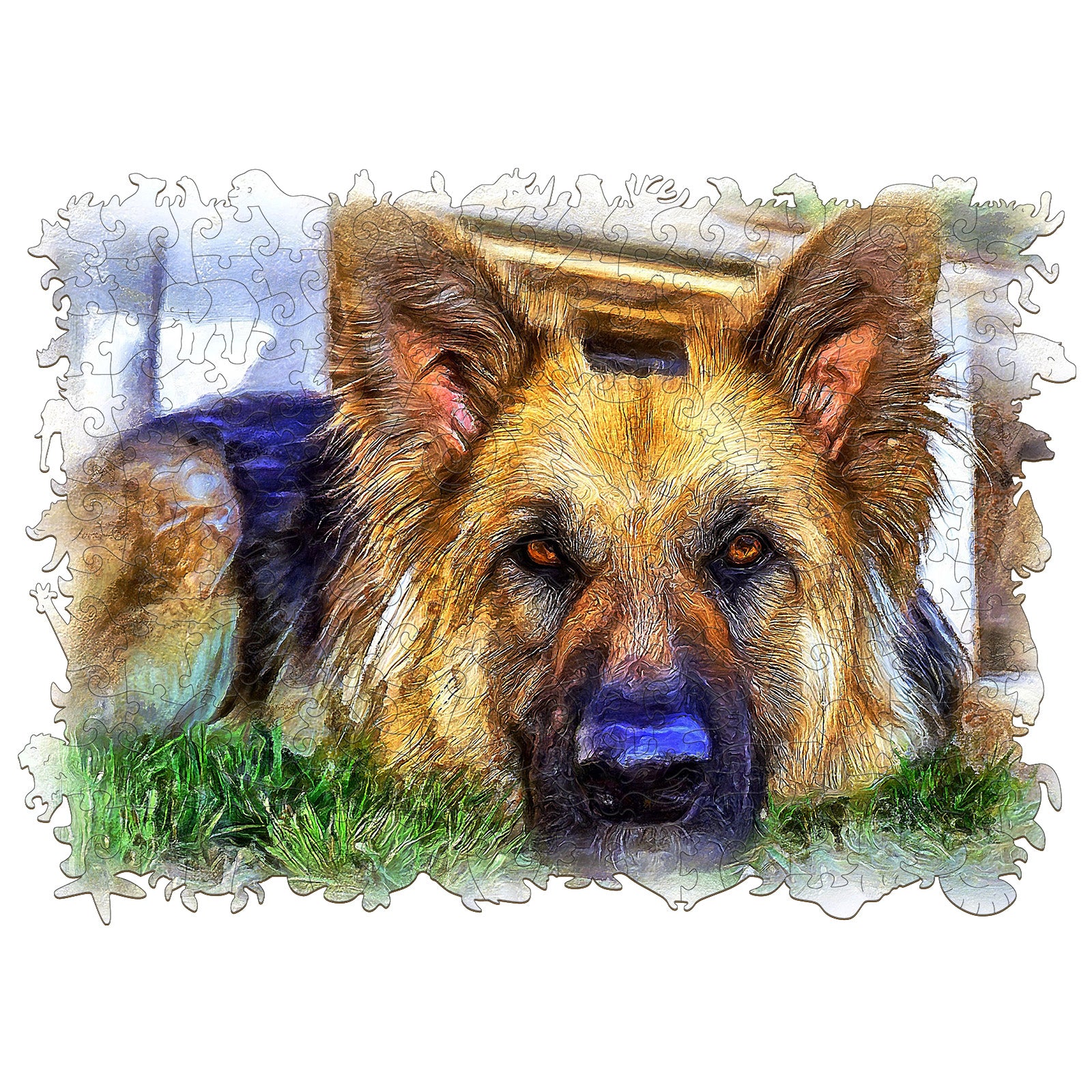 German Shepherd