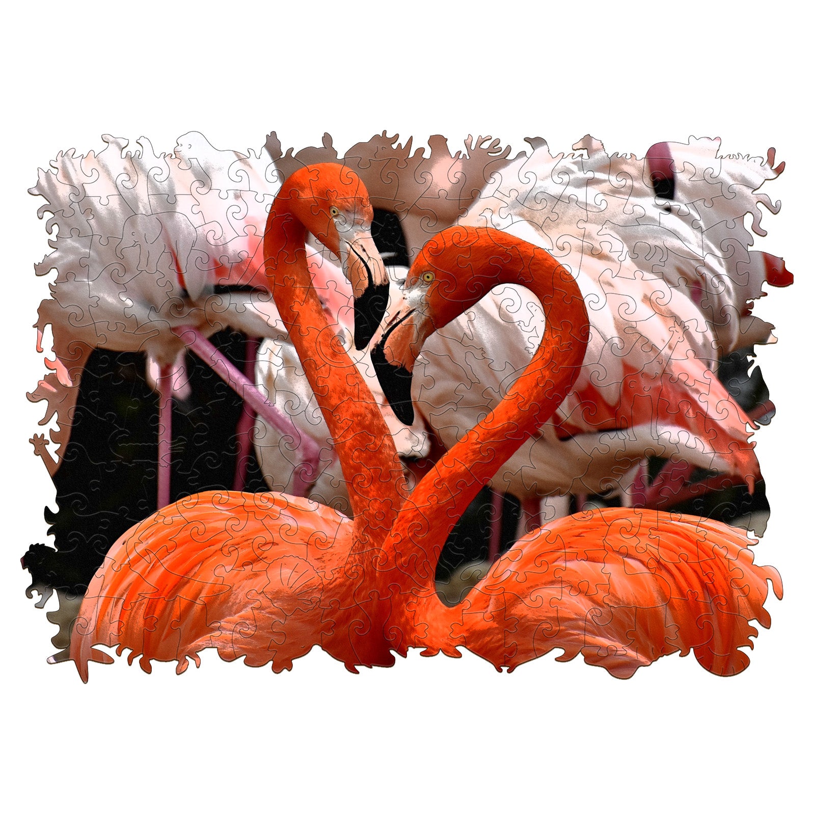 Loving Flamingo