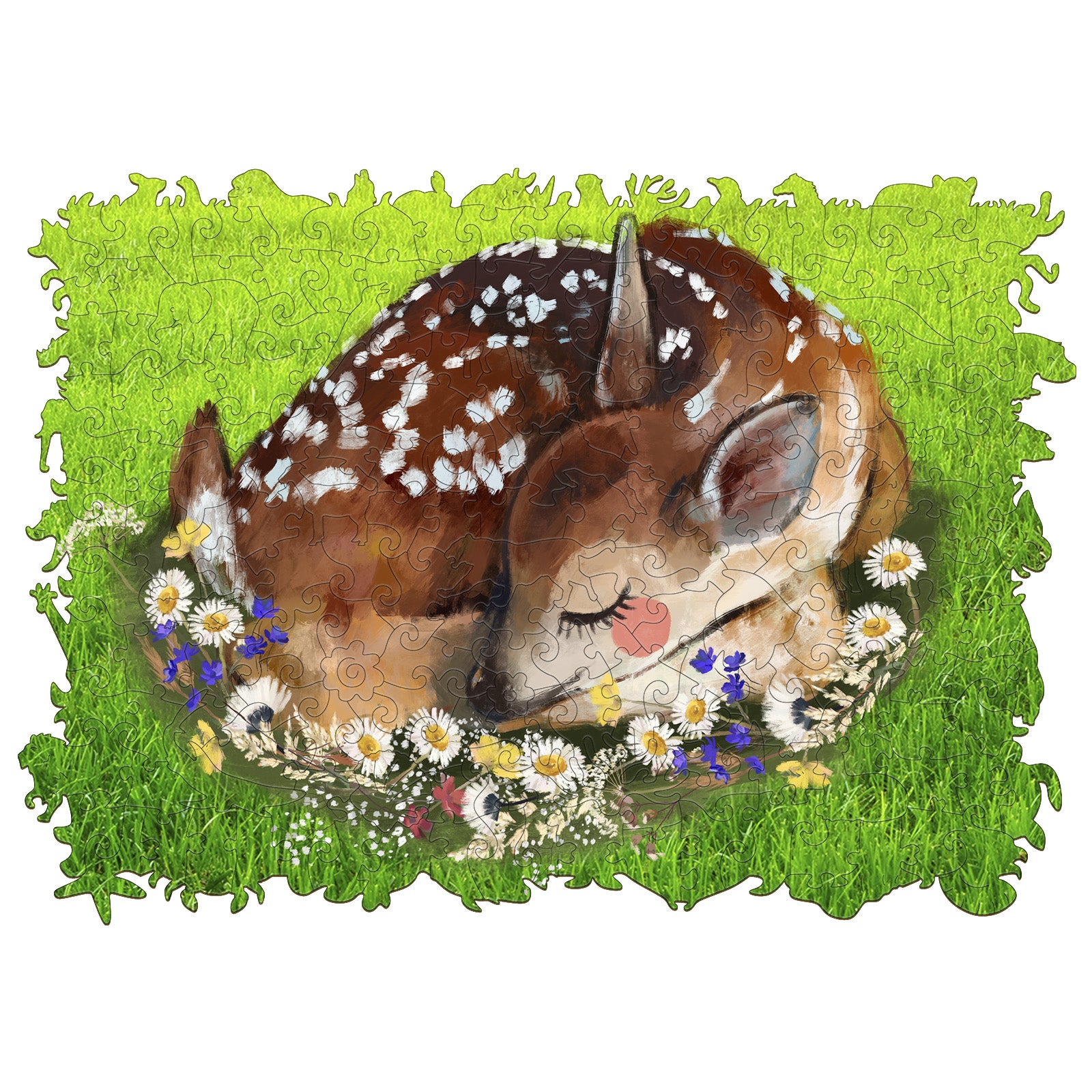 Baby of Sika Deer Resting