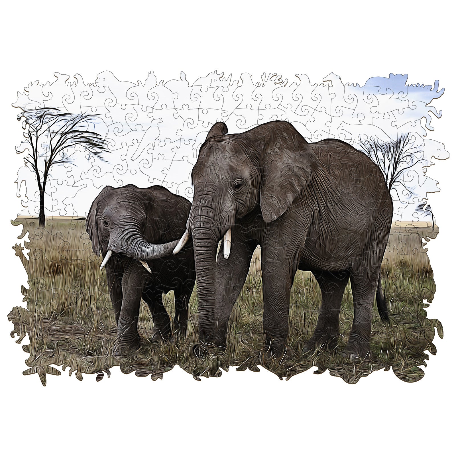 African Elephants