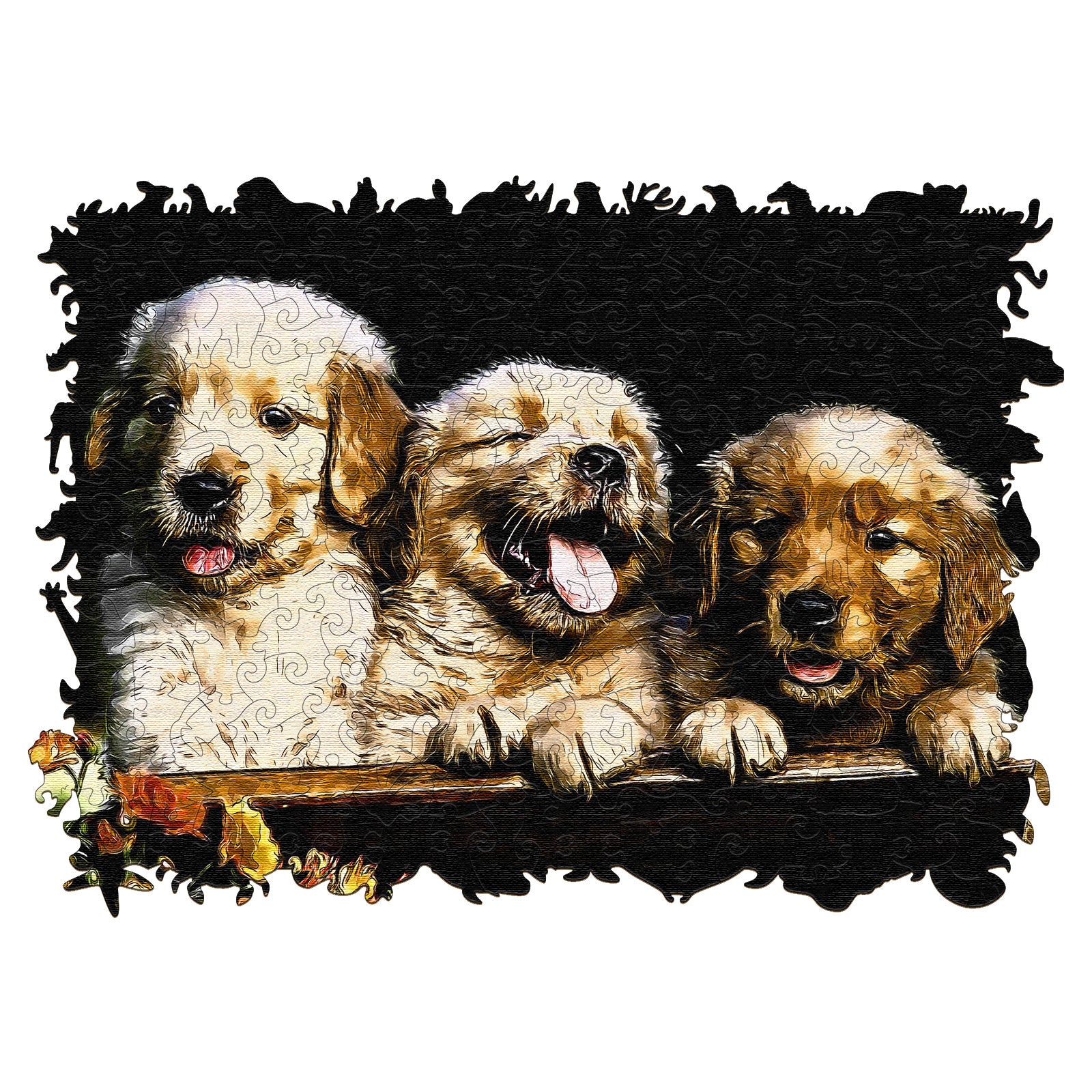 Three cute dogs