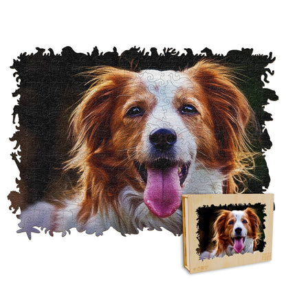 Kooikerhondje