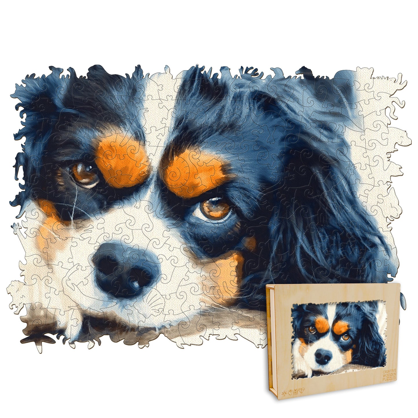 Cavalier King Charles Spaniel