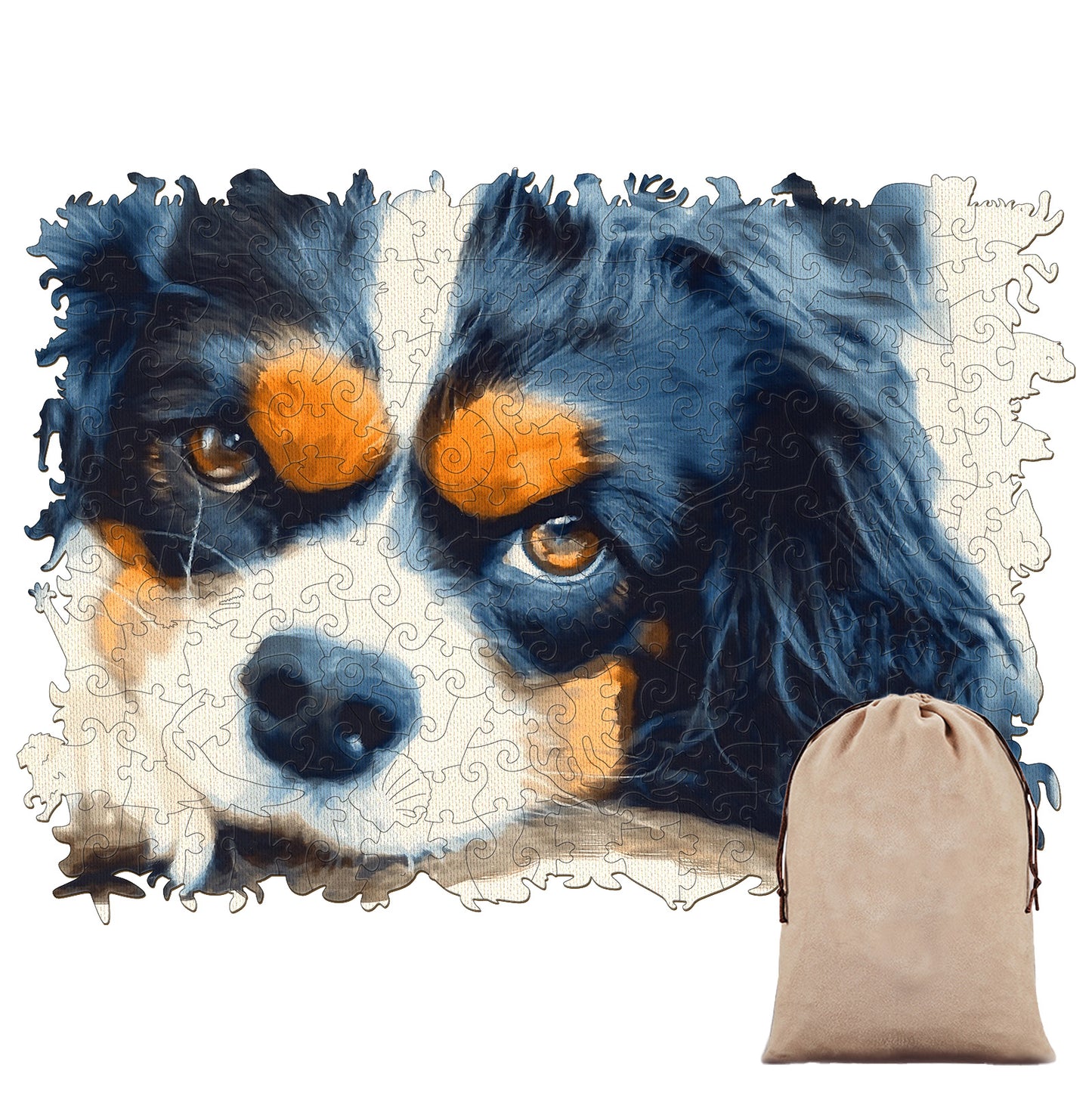 Cavalier King Charles Spaniel