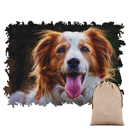 Kooikerhondje