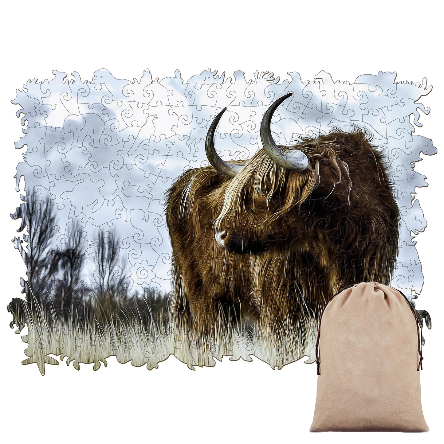 Highland Cow